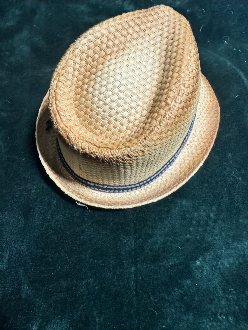 Fedora - Picture 2 of 5
